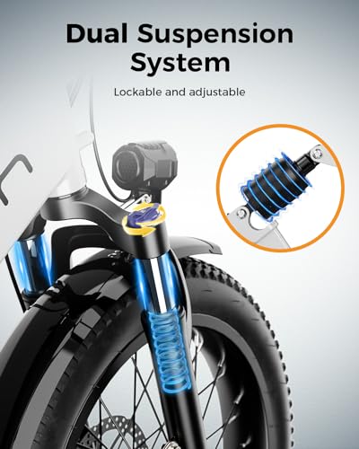 850W 48V 10AH 20" Fat Tire Folding Electric Bike C616