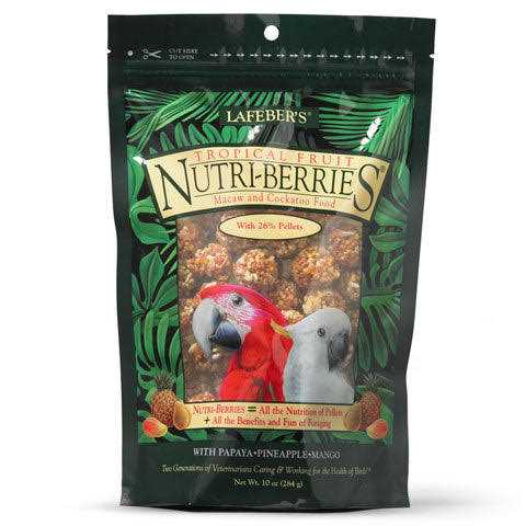 Tropical Fruit Parakeet B270