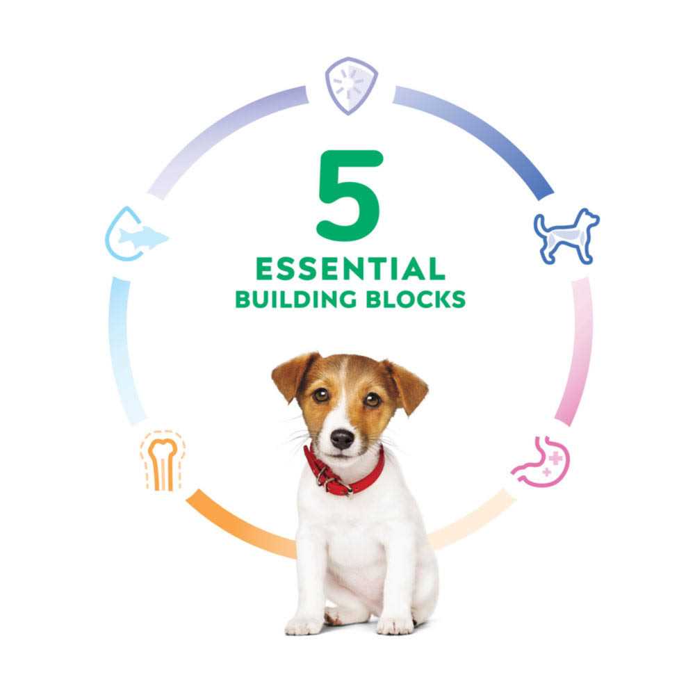 Dry Dog Food F318