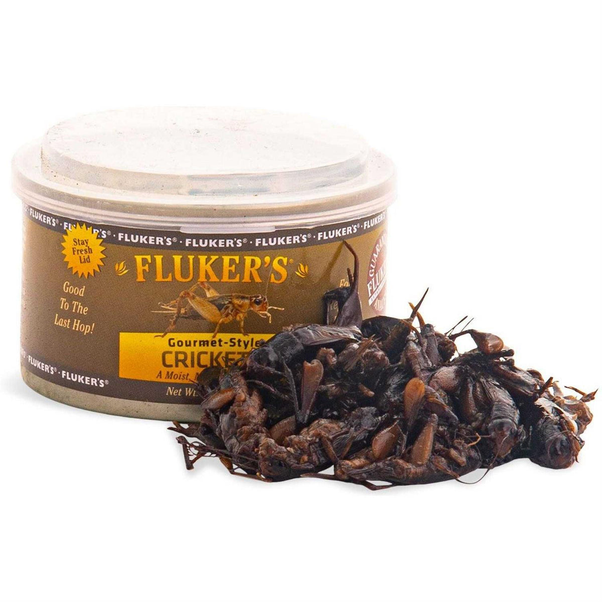 Canned Crickets O164277