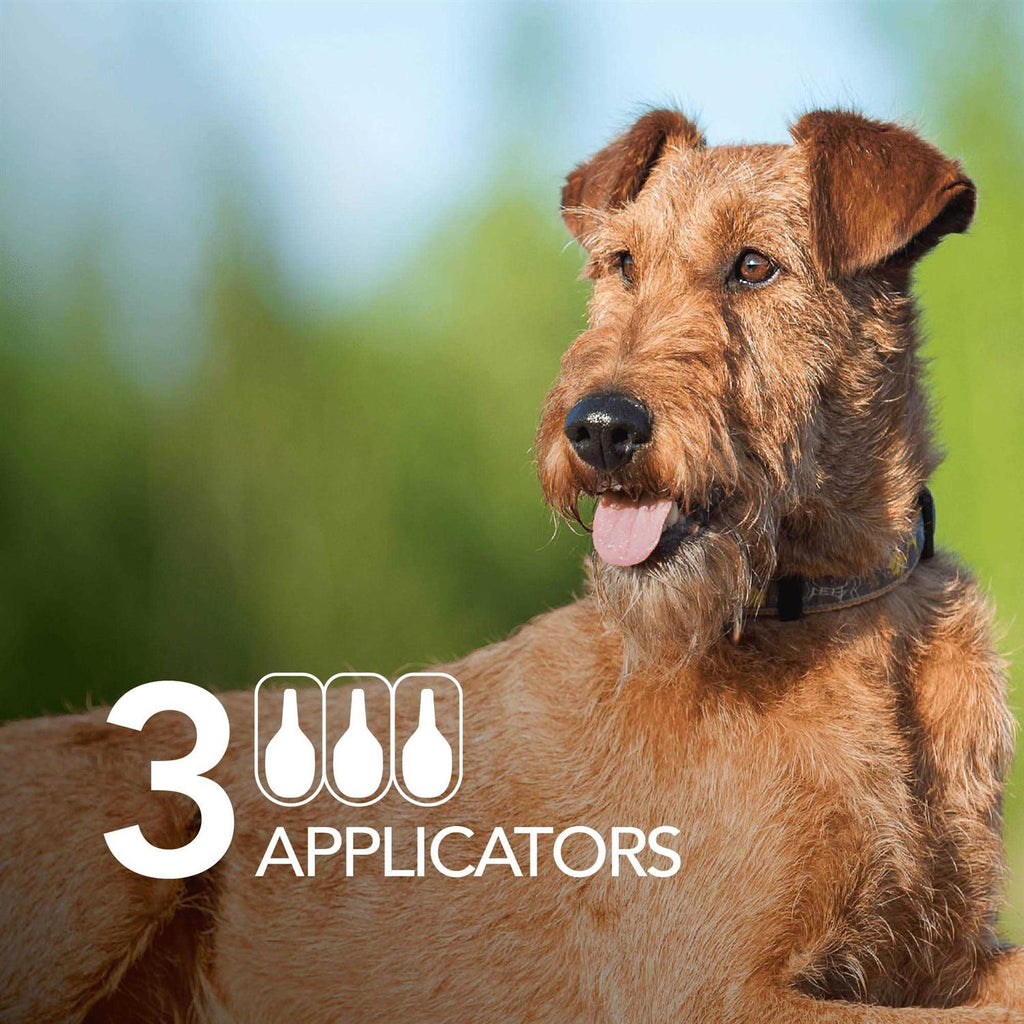 Flea and Tick Prevention Dogs D7496