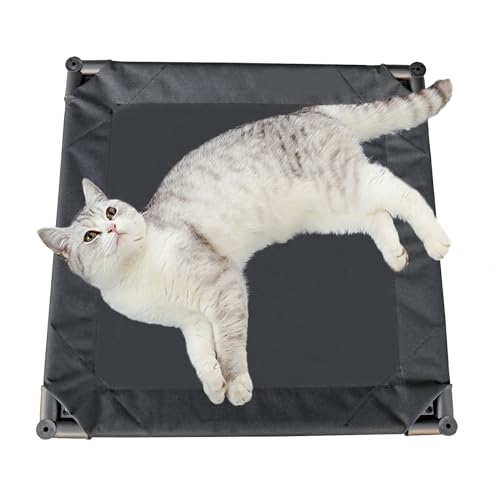 Elevated Dog Bed with Metal Frame, Cooling Raised Pet Cot (Small-18.5x18.5x5.5 inch, Black) A379284