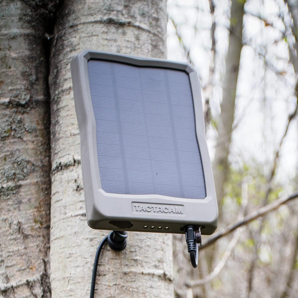 External Solar Panel T48233