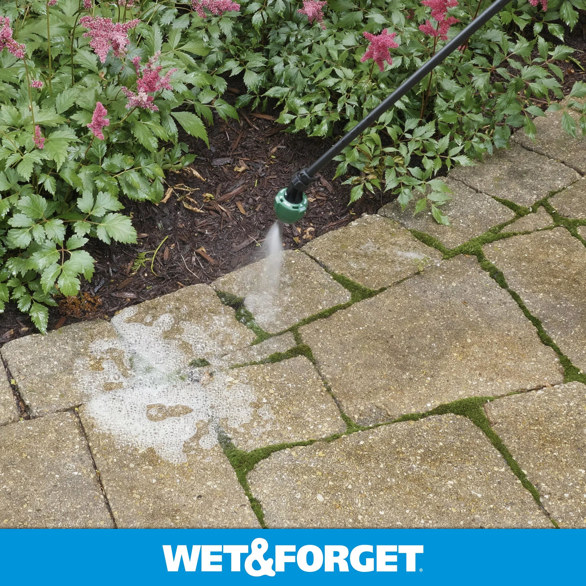 Outdoor Liquid Surface Cleaner & Stain Remover L9238