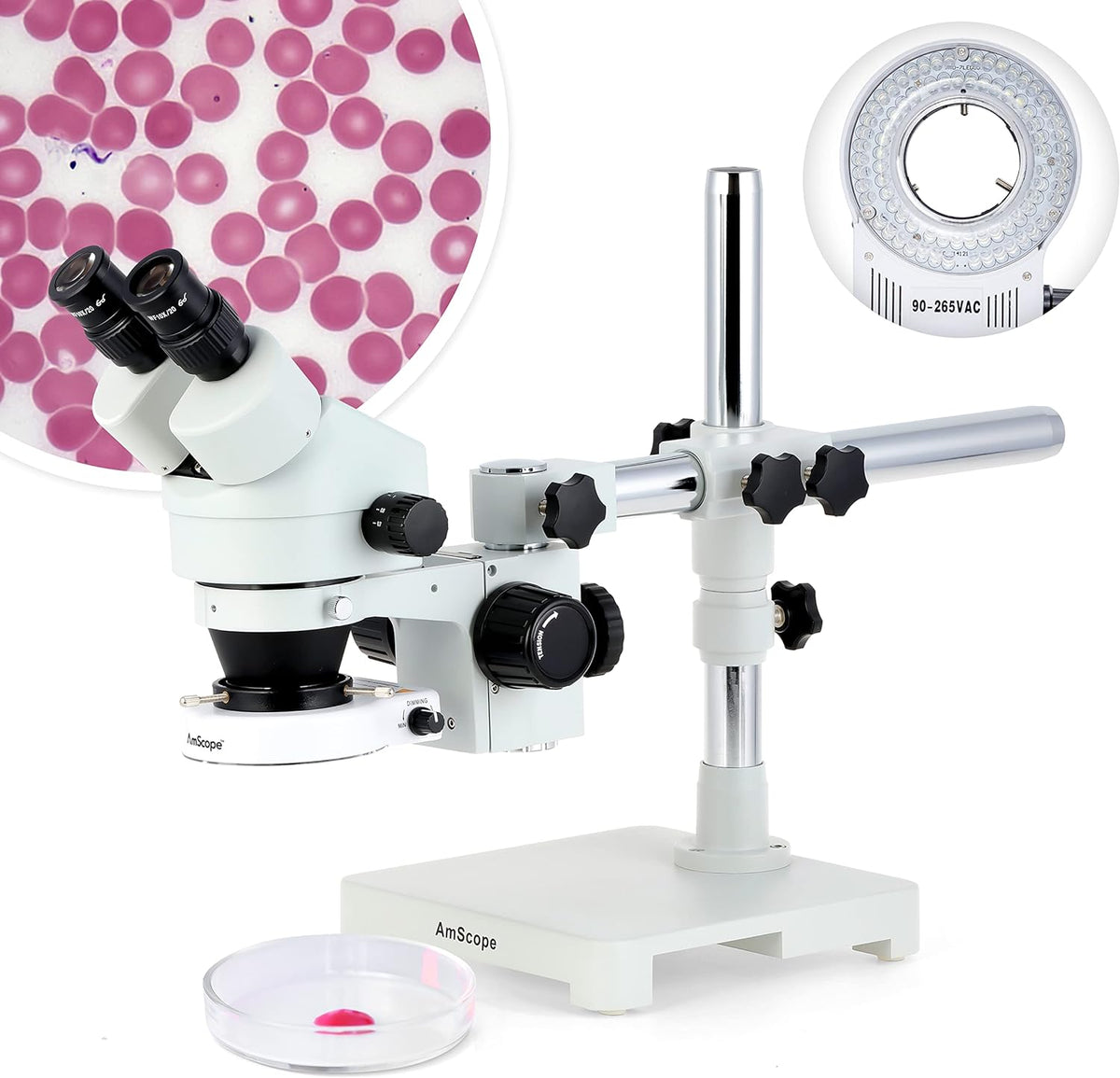 Binocular Stereo Microscope with LED Ring Light and Boom Stand F47817