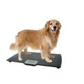 Large Digital Pet Scale Black U4898