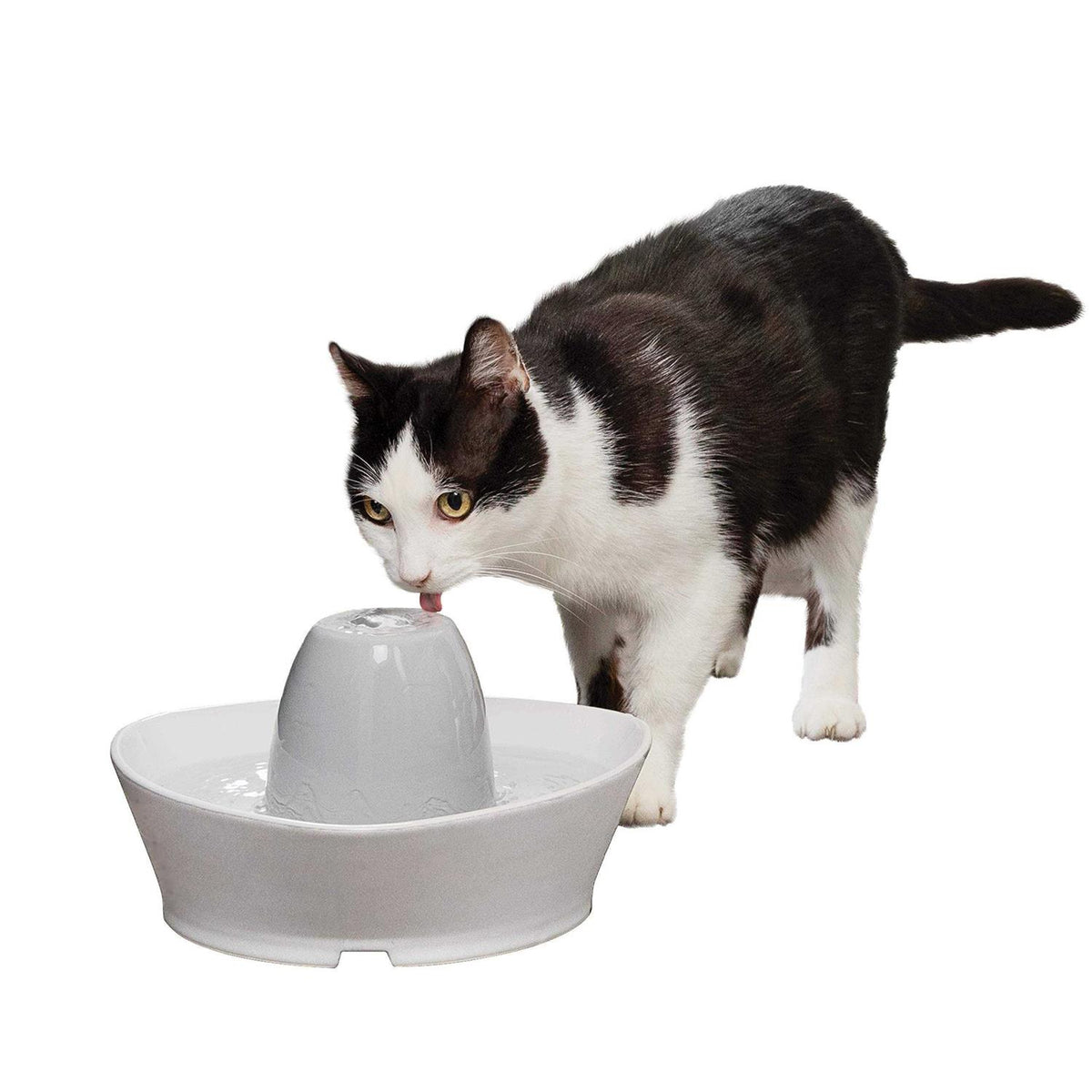 Ceramic Pet Fountain U14921