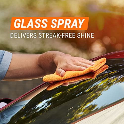 Car Wash and Interior Cleaner Kit, 5 Count L19300