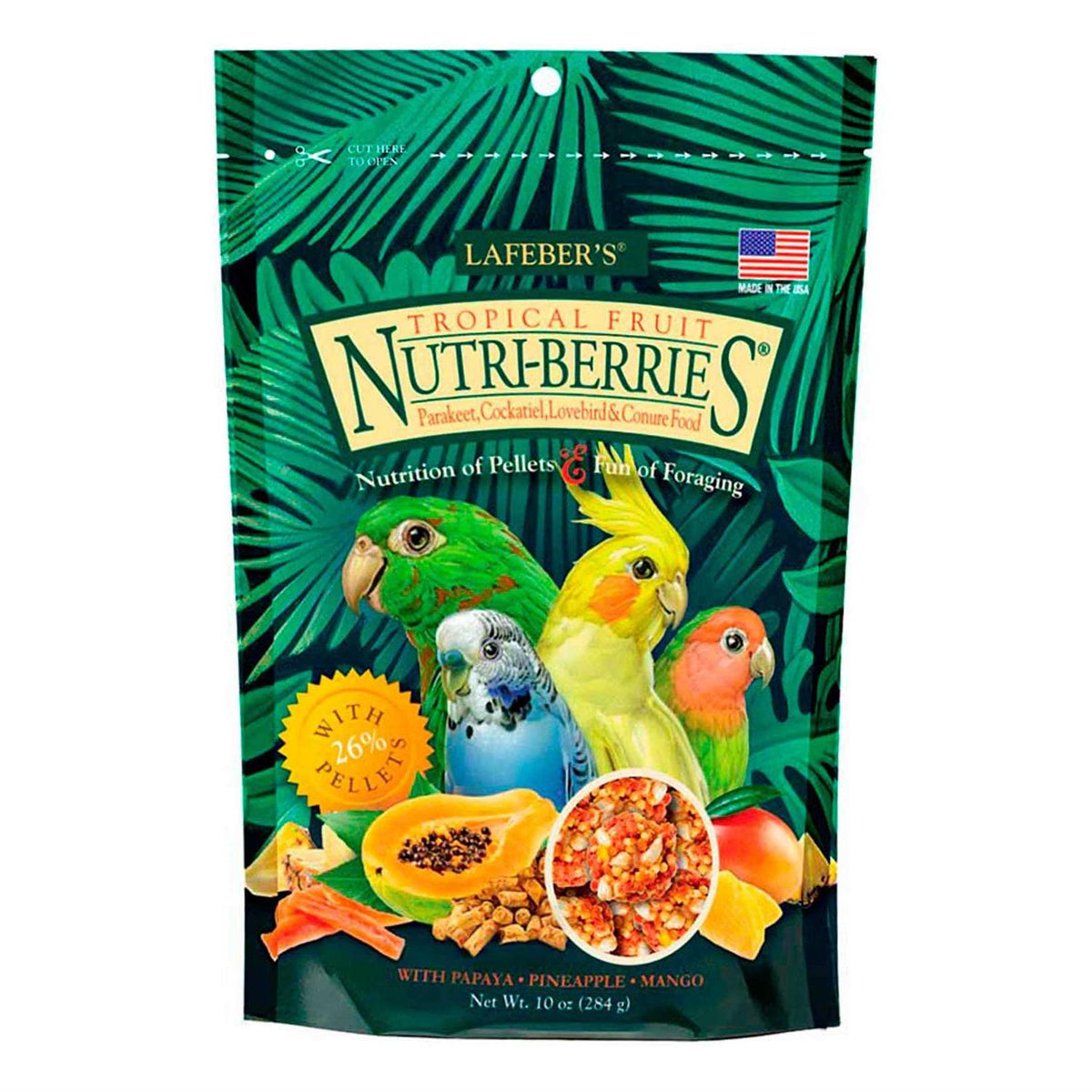 Tropical Fruit Parakeet B270