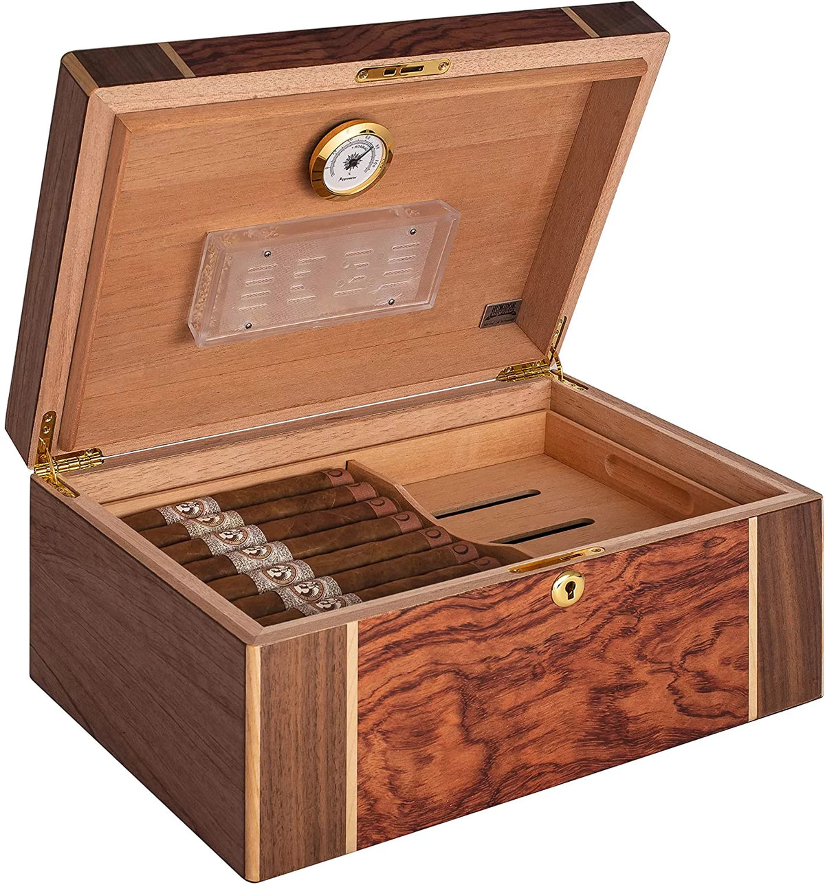 Desktop Cigar Humidor, High-Gloss Walnut O422