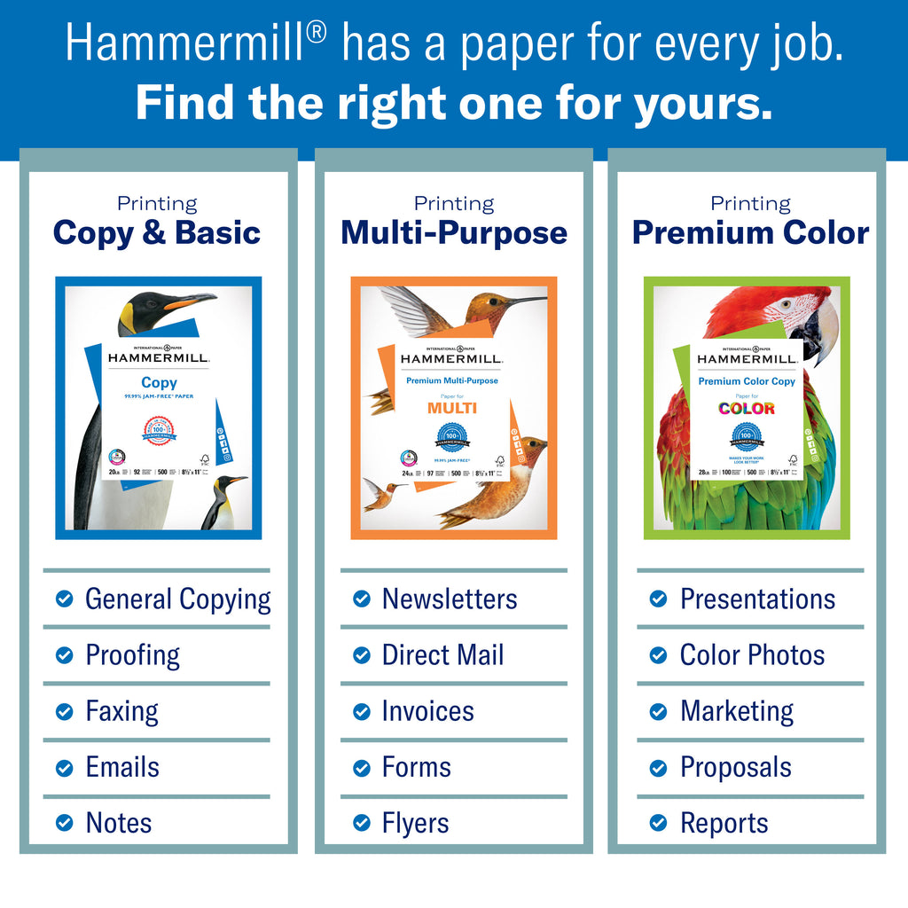 19x13 80lb 100 Bright Cardstock 250 Sheets X41766