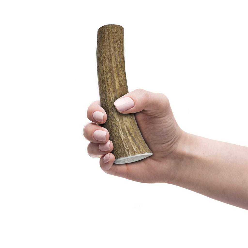 Elk Antlers for Dogs I632131
