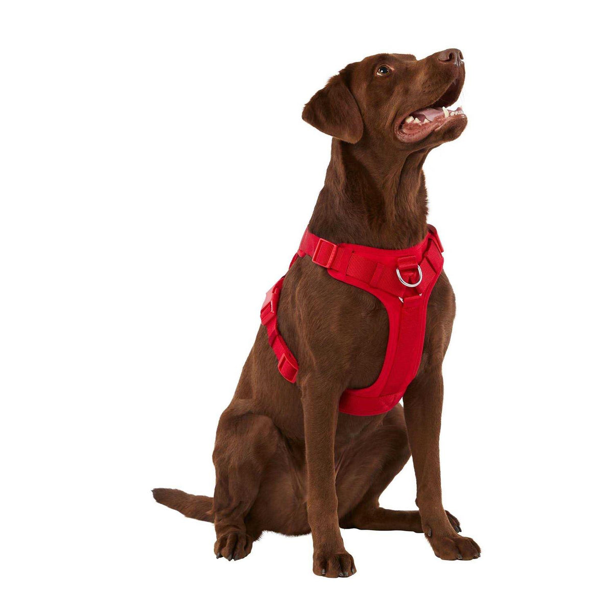 Neoprene Dog Harness C3182