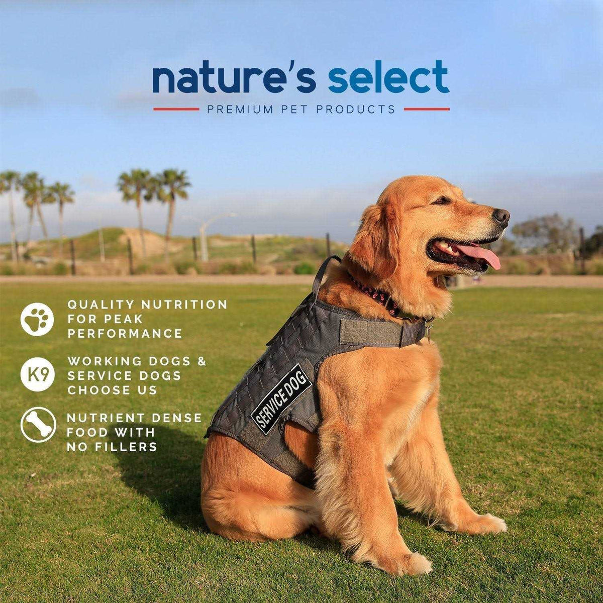 Pet Supplies U914406