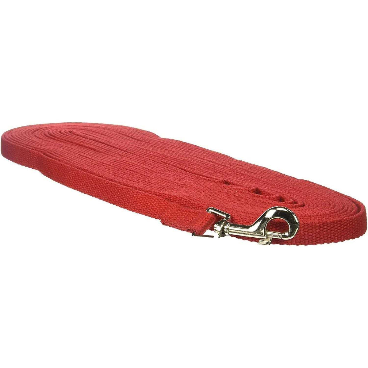Cotton Web Training Lead N428650
