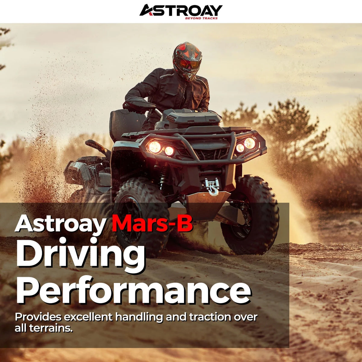 12 Utility ATV/UTV Tire T3527