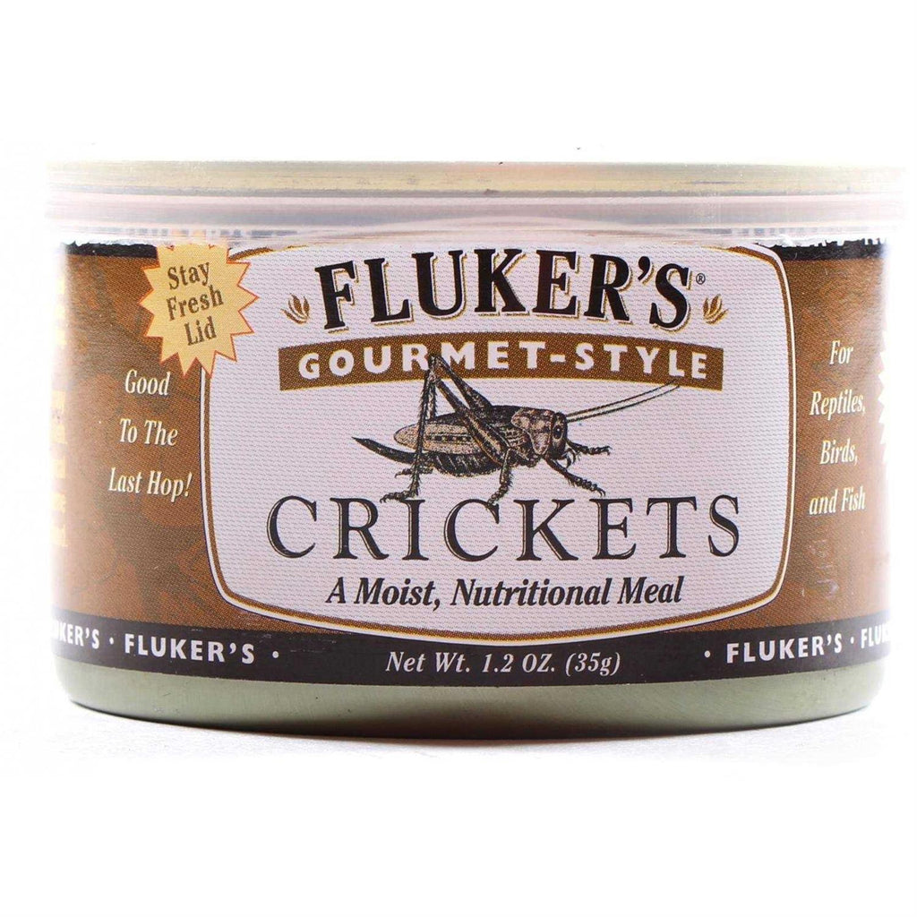 Canned Crickets O164277