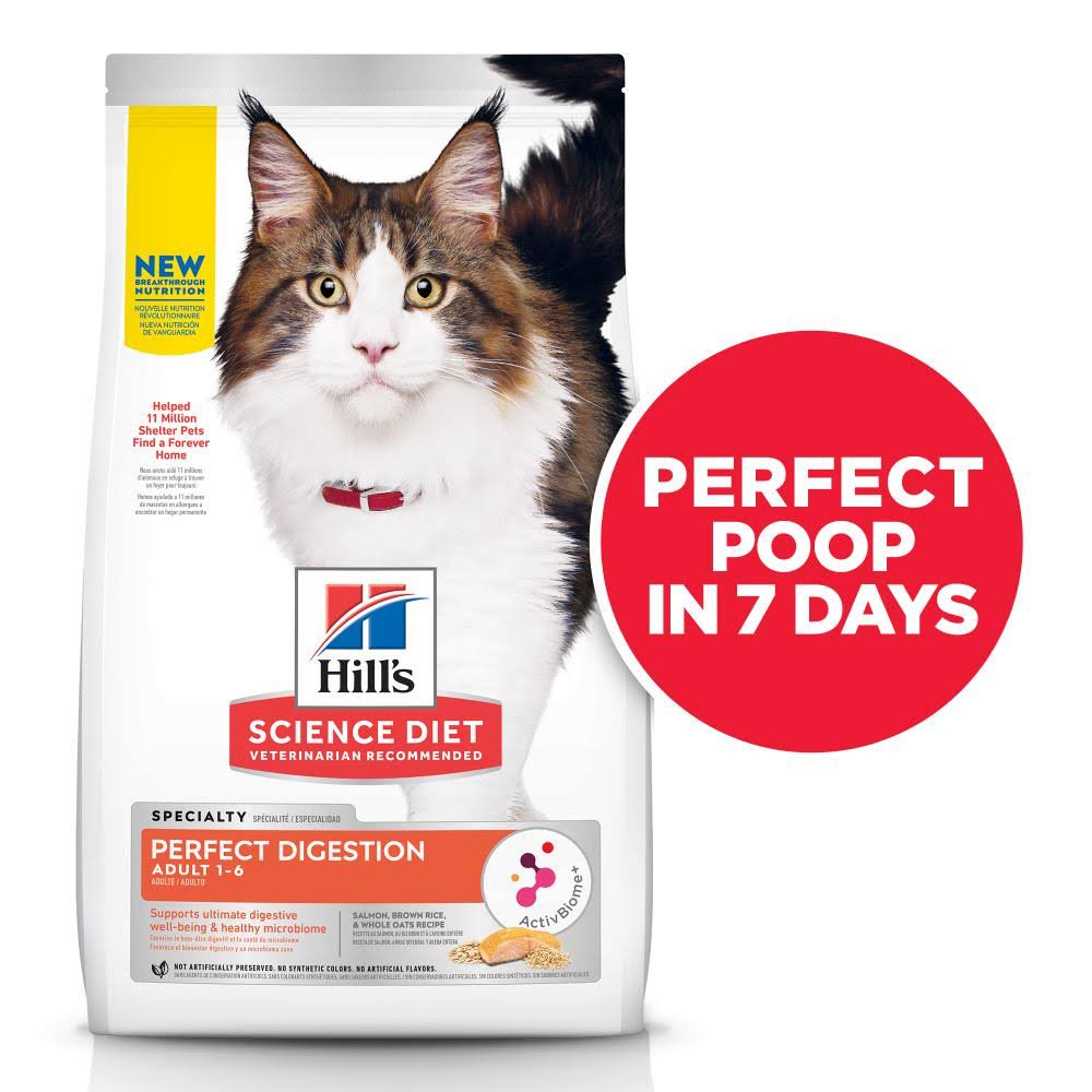 Adult Salmon Dry Cat Food 13-lb A413