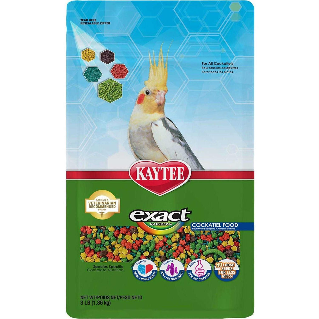 Cockatiel F8848