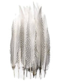 50 Pieces Natural Pheasant Tail Feathers O313