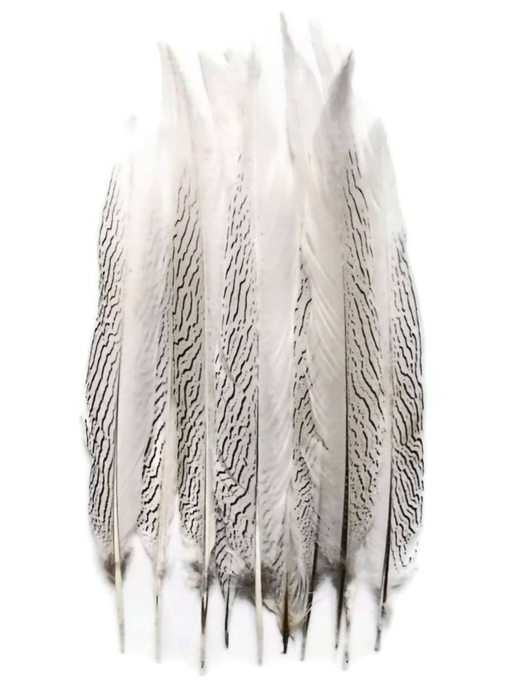 50 Pieces Natural Pheasant Tail Feathers O313