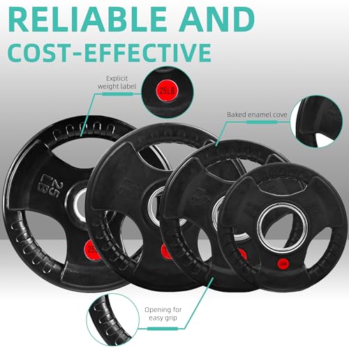 Cast Iron Weight Plates with Barbell Bar and Locks, 100 Pounds Set J718