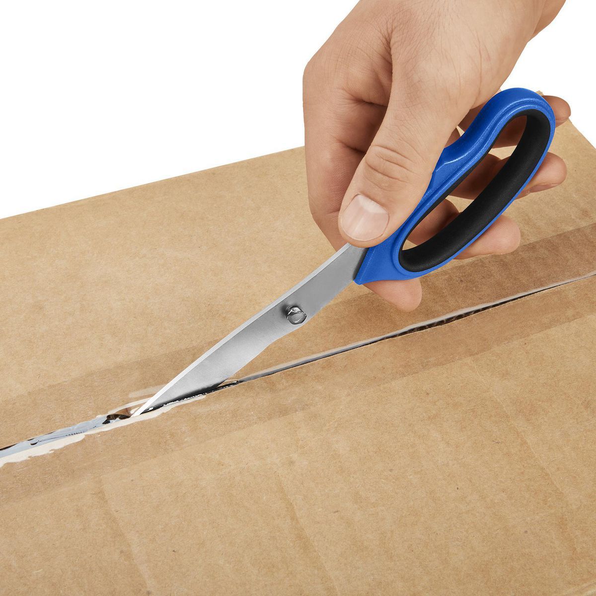 Assorted Scissors, 3-Piece L427