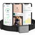 Smart Collar Kit GPS location Health & Fitness R220537