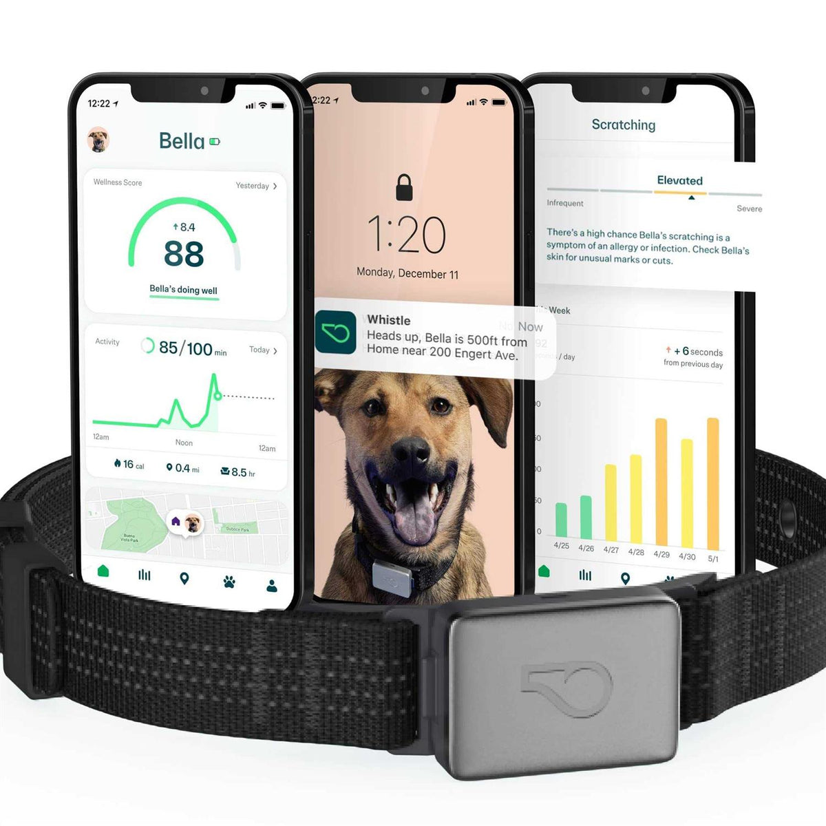 Smart Collar Kit GPS location Health & Fitness R220537