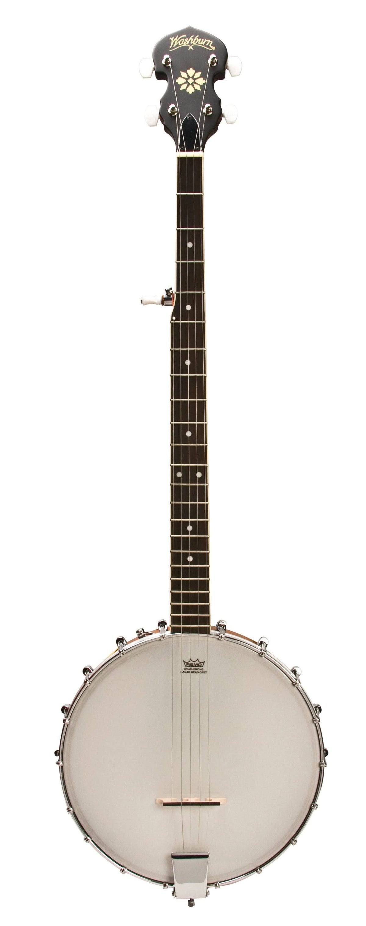 5-String Banjo Z69663