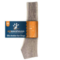 Elk Antlers for Dogs I632131