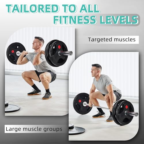 Cast Iron Weight Plates with Barbell Bar and Locks, 100 Pounds Set J718
