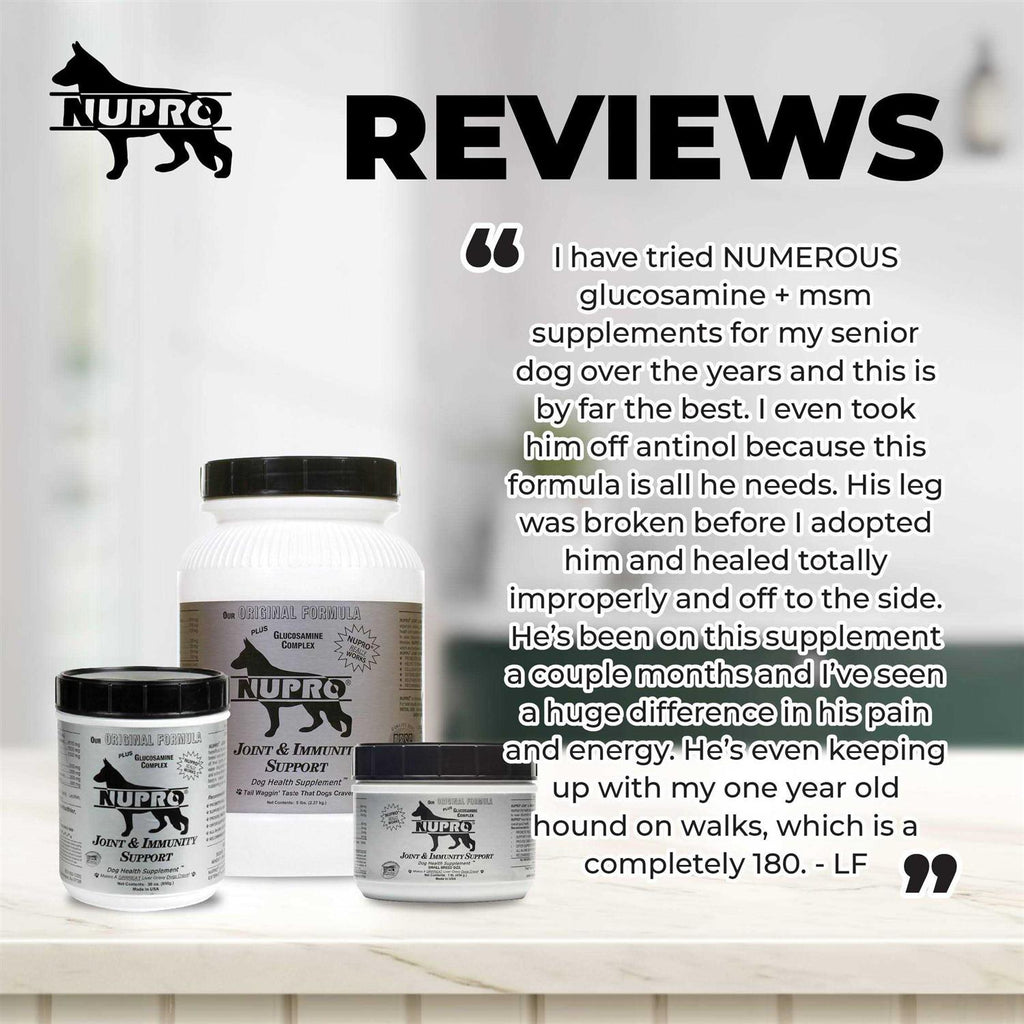Joint & Immunity Support Dog Supplement W66385